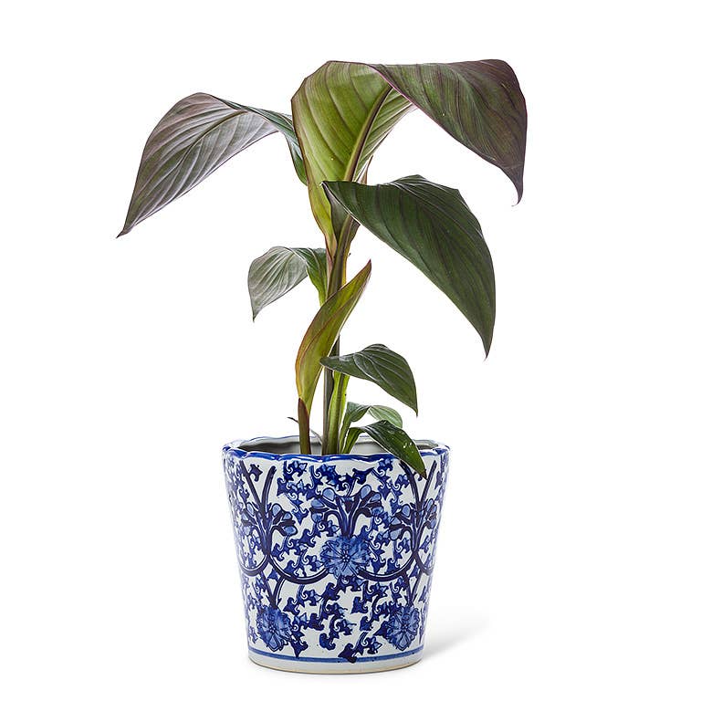 Ornate Taper Planter-Blu/Wht-7" H