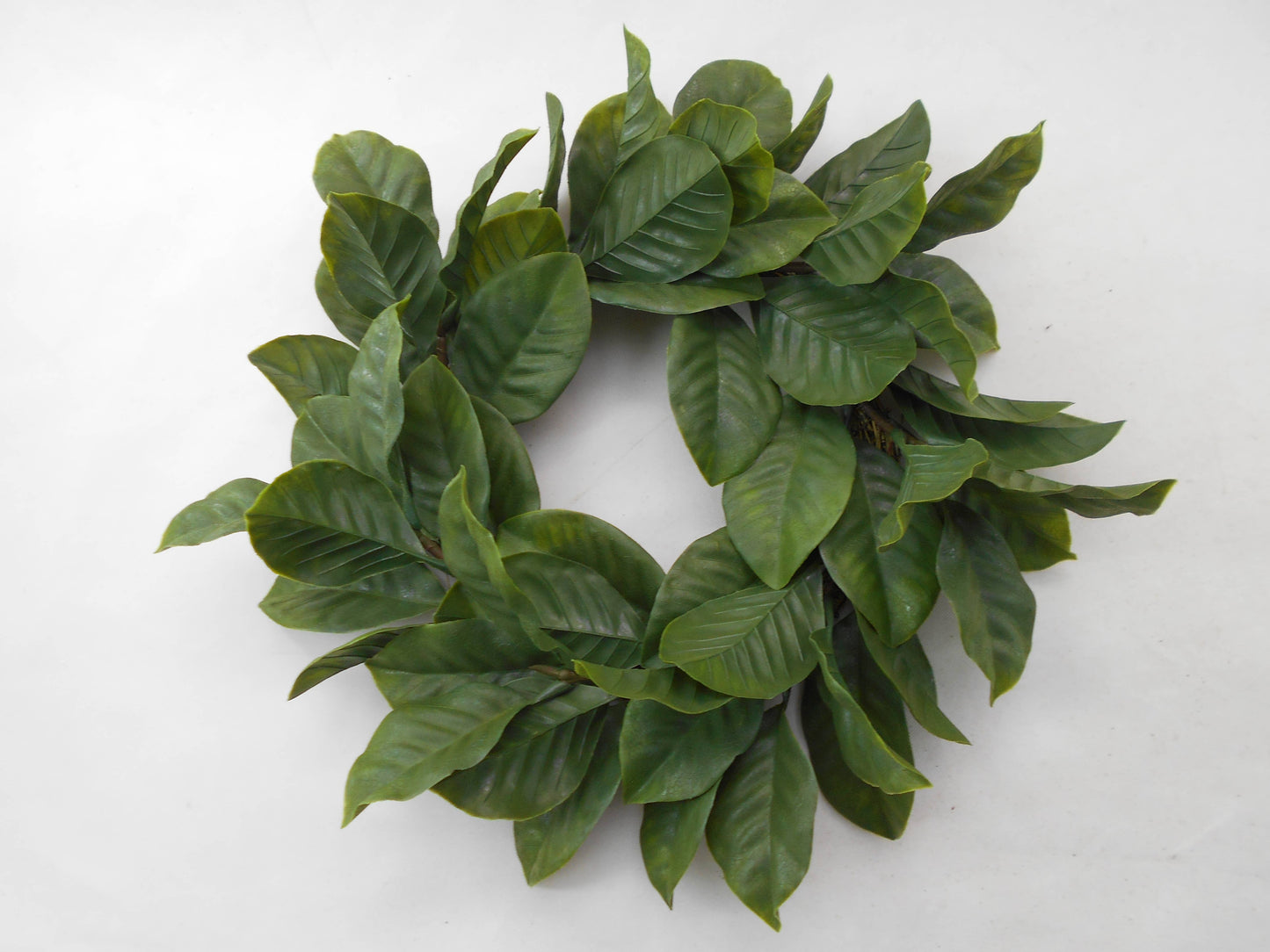 Magnolia Leaf Wreath 22" Green