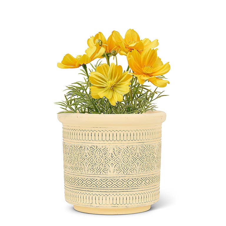 Ylw Embossed Band Planter-5"H