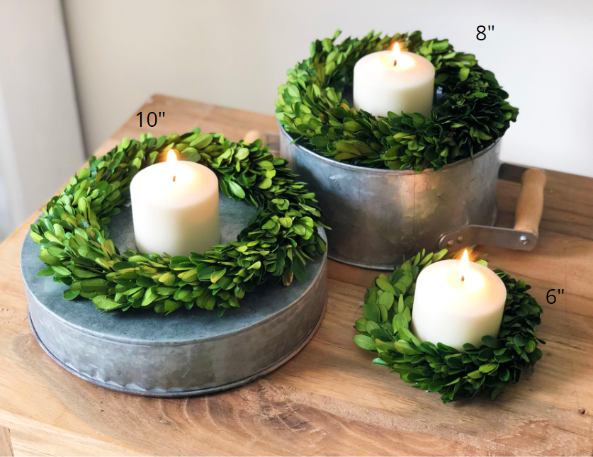 Preserved Boxwood Mini Wreath - 10 Inch