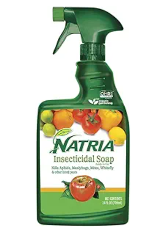 Natria Insecticidal Soap