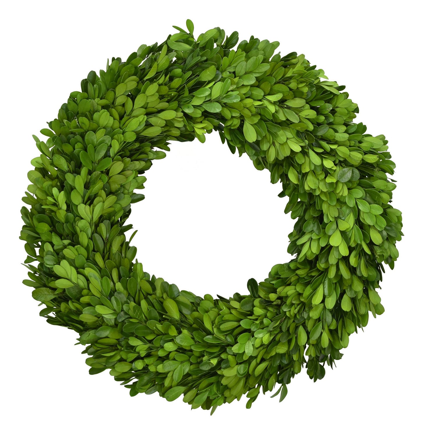 Preserved Boxwood Country Manor Wreath - Round - 14 Inch