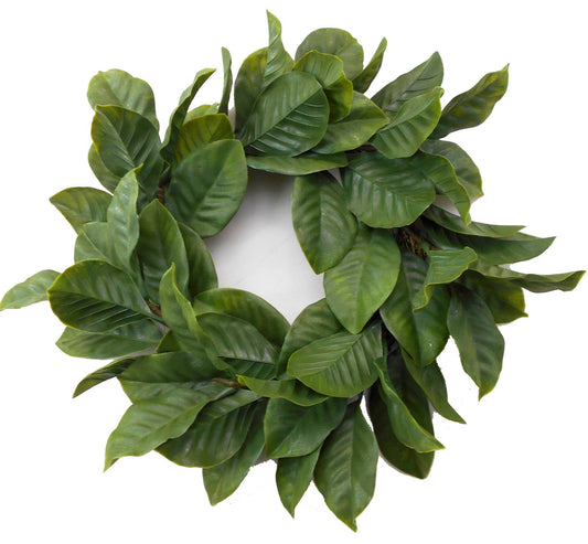 Magnolia Leaf Wreath 22" Green